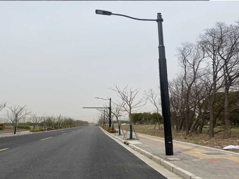 雨湖区上海综合杆 太阳能路灯工程